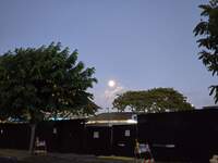 20260728_193211.jpg