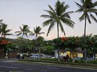 20260826_185648.jpg