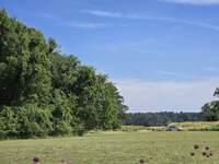 20260606_163359.jpg
