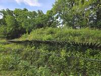 20260606_183759.jpg
