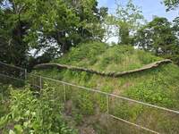 20260606_183856.jpg