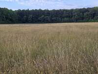 20260606_190735.jpg