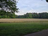 20260606_191128.jpg