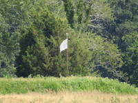 SX50IMG_4310.jpg
