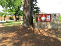 SX50IMG_4311.jpg
