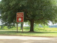 SX50IMG_4312.jpg