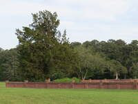 SX50IMG_4407.jpg