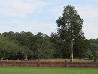 SX50IMG_4408.jpg