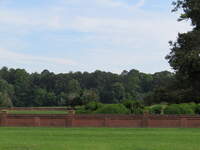 SX50IMG_4410.jpg